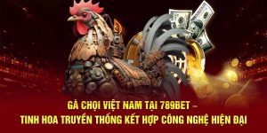 gà chọi việt nam 789bet