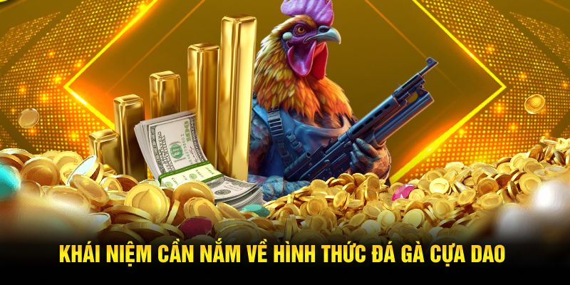 Khái niệm cần nắm về hình thức đá gà cựa dao